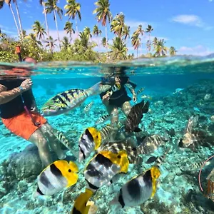 Hutiarii House & Car & Excursions Raiatea , Tevaitoa Polynésie française